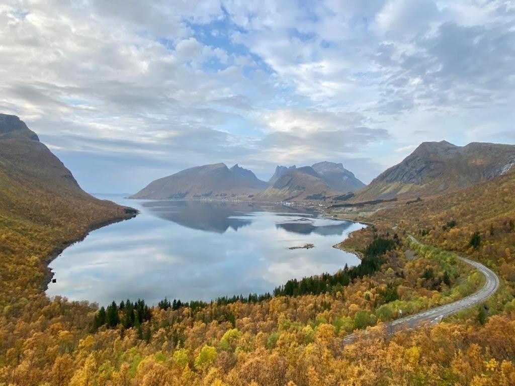 Ferrytale, Cozy, Spacious House On Senja Gryllefjord Buitenkant foto