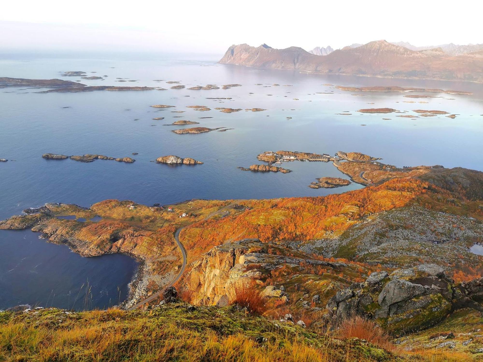 Ferrytale, Cozy, Spacious House On Senja Gryllefjord Buitenkant foto
