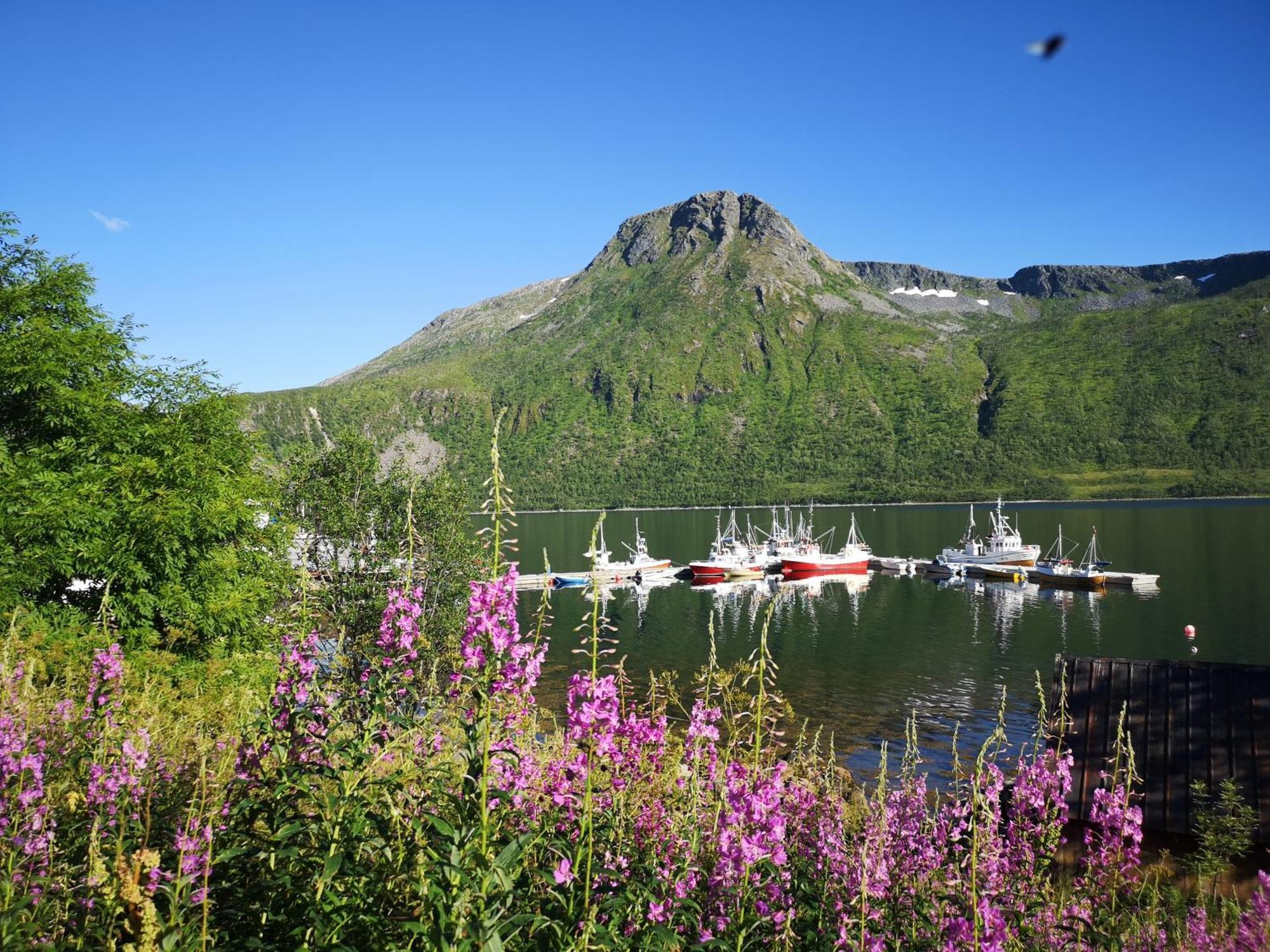 Ferrytale, Cozy, Spacious House On Senja Gryllefjord Buitenkant foto