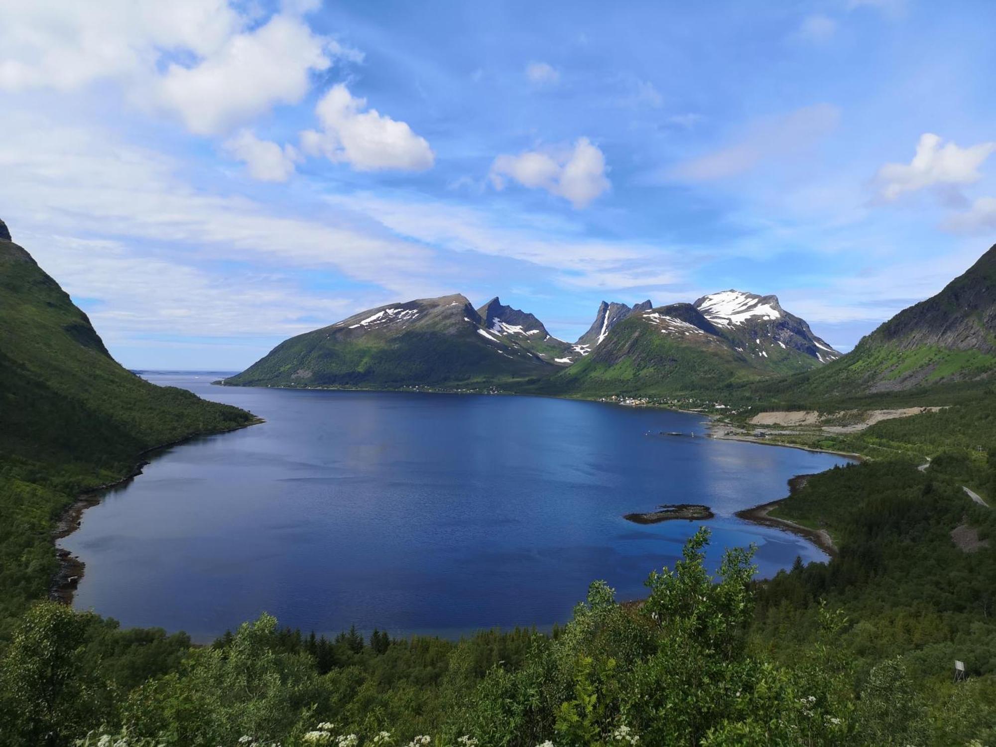 Ferrytale, Cozy, Spacious House On Senja Gryllefjord Buitenkant foto