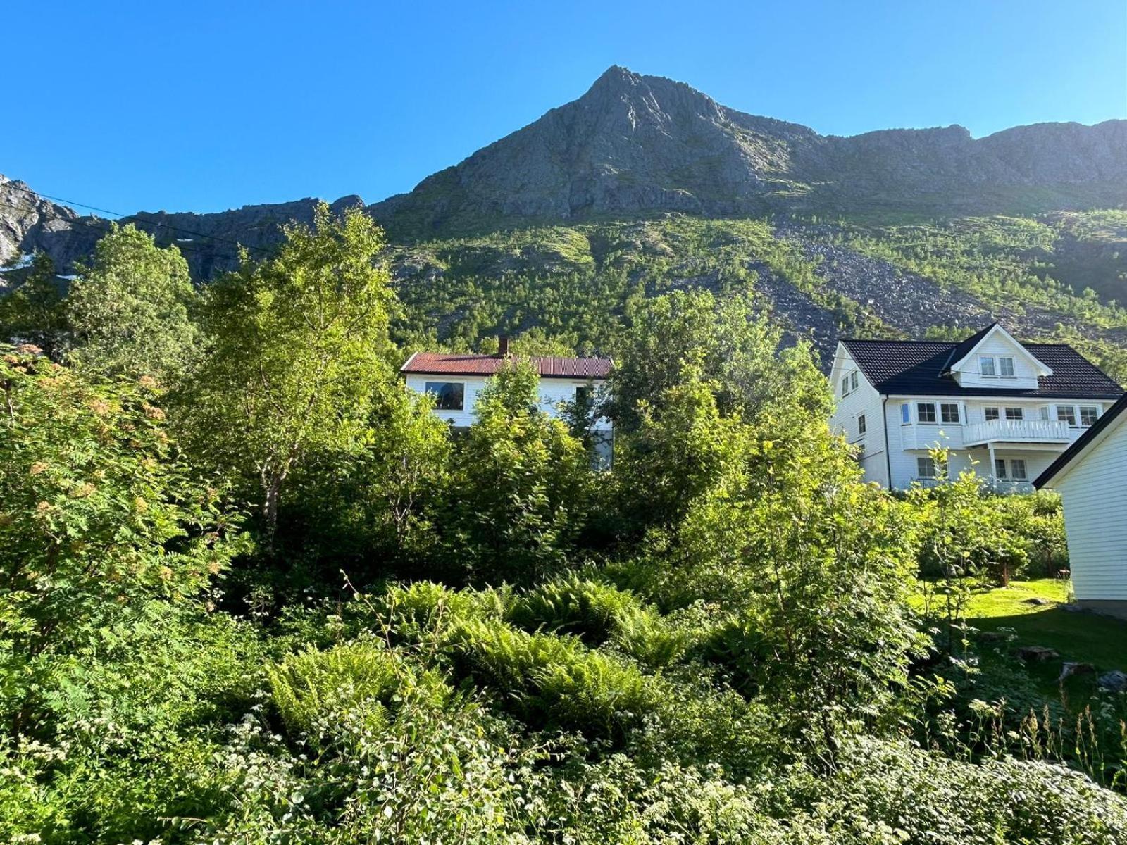 Ferrytale, Cozy, Spacious House On Senja Gryllefjord Buitenkant foto